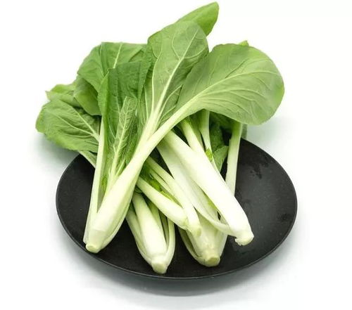 小白菜富含维生素，具有清热解毒、养胃润肺、明目、利便等功效