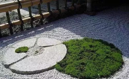 铺地木蓝：根系发达组冠军