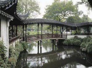 春天来了 花儿们也跟着嗨皮起来