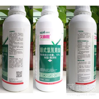 家禽黑头蛆病的烦恼