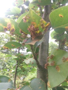 发病规律， 防范为主