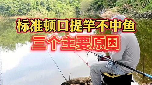 标准下顿口提竿不中鱼，是钓鱼过程中常见的技术性问题