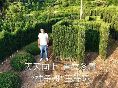 广东注册花木苗圃，手续繁琐吗