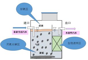 如何有效利用生物膜法处理农药污水，降低其毒性并达到排放标准？