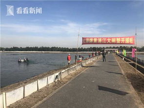 高邮湖生态鲢鱼首次开捕，探索生态养殖新模式