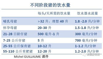 哺乳母猪增加饮水量，奶量是否会相应提升呢？