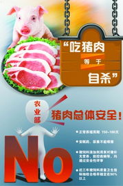 我国猪饲料主要来源是什么其质量与安全性如何保障？