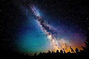 星空下的花语，色彩斑斓