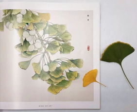 “中国稀有植物盘点，这些珍稀植物你了解多少