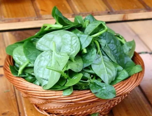 适合5月种植的十种蔬菜排行