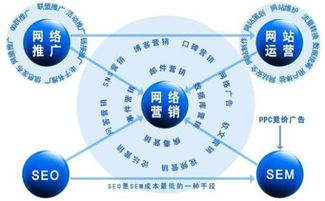如何利用网络平台精准推广猪饲料产品，提高市场占有率？