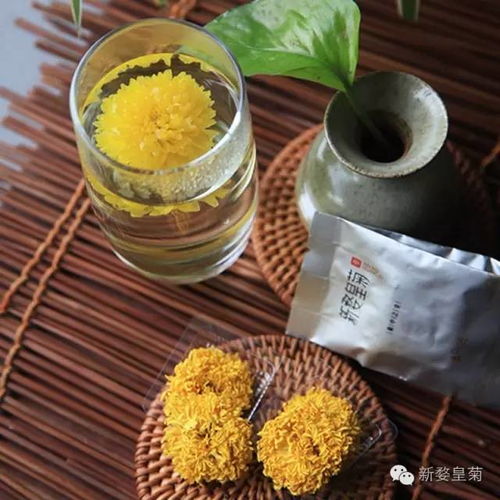 喉咙痛喝菊花茶有用吗？专家解答让你不再疑惑