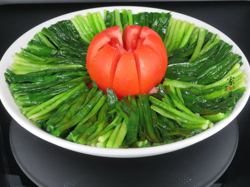 冬季畜牧饲养指南：白菜、萝卜、韭菜、菠菜的种植与管理技巧