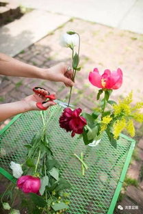 家用冰箱可依 蕞好醒一下水份充足保鲜时间梗长