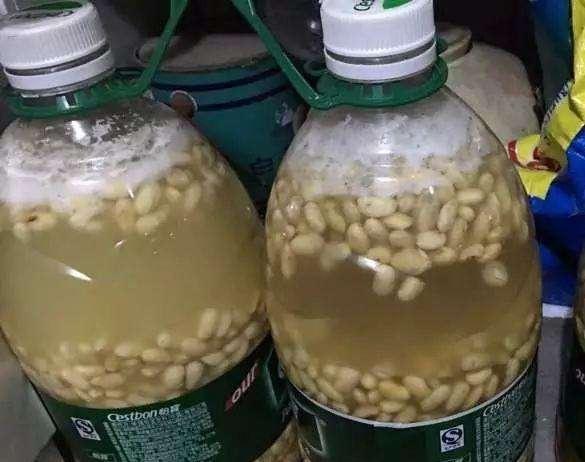 核心问题：为什么废油必须腐熟？