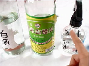 三招解决，真的有吗？