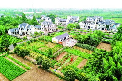 现代农业科技：园艺村的科技支撑