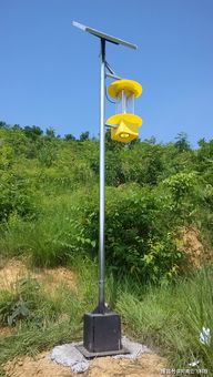 不用电不用油：节Neng环保， 人人点赞