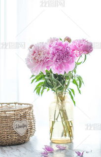 牡丹芍药插花技巧全揭秘