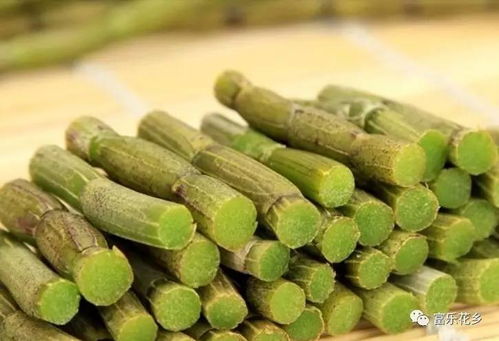 铁皮石斛怎么吃？有哪些简单又美味的食用方法呢