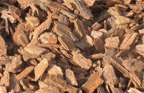 有机质含量高， 植物生长好