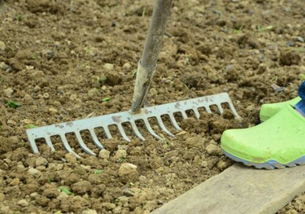 土壤板结的原因与危害