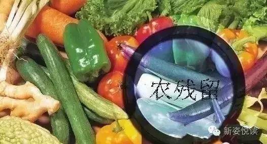 农药的味道，闻多久才算长？