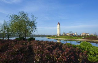 园林城市发展中心的职责