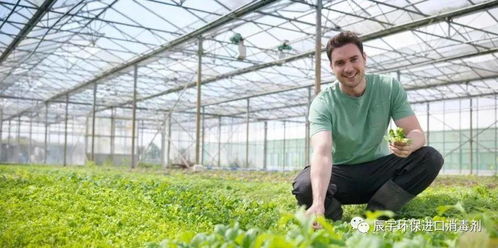 烂根有两方面因素