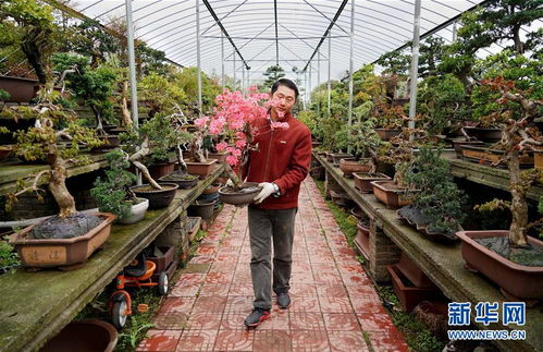 线上线下的双重销售策略