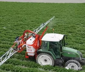 土壤封闭处理除草剂