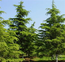 市场行情了解一下