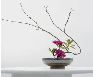 艺术与生活的结合