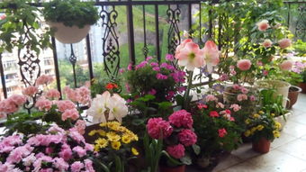 春天的花园， 花木绽放的画卷