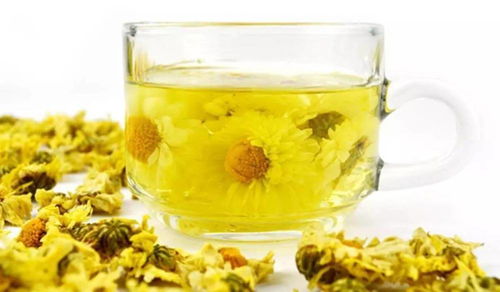 夏枯草桑叶菊花茶，你知道它的神奇功效吗