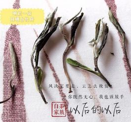 香气测试有讲究