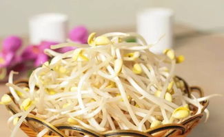 四、豆芽，简单易种，营养健康