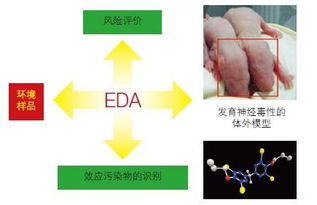 水果农药残留的烦恼与解决办法