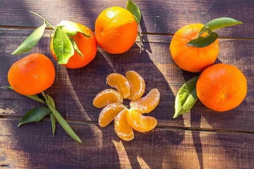 听说橘子灯超简单？来试试吧！