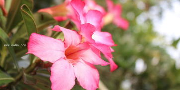 通风不好， 也是一大原因