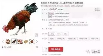 一只竹鼠的利润高达170元，究竟有何独特之处