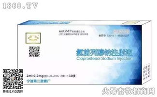 养猪时如何正确使用缩宫素和氯前列醇钠？