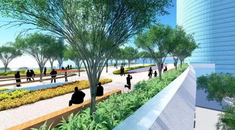 树木选种与布局， 广场骨架的塑造