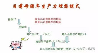 猪场PSY和MSY哪个gengNeng揭示猪场效益的？