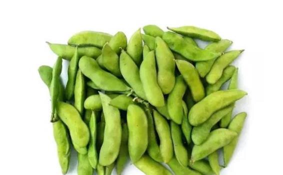毛豆和黄豆傻傻分不清？一文教你轻松辨别