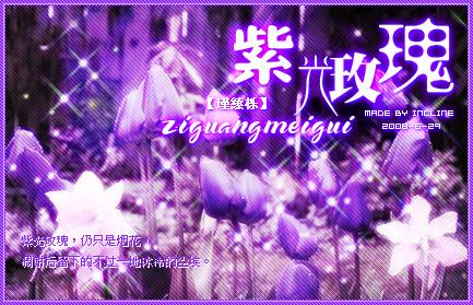 紫玫瑰，神秘紫色象征