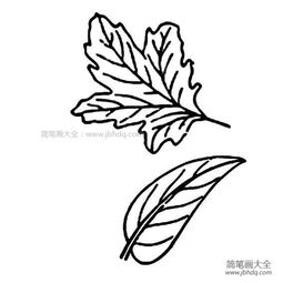 第四步：添加叶脉