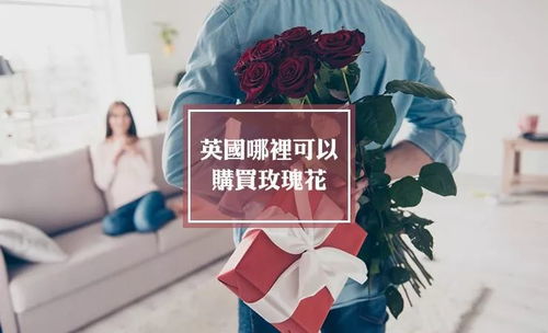 纯洁之爱，玫瑰何解