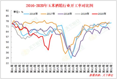 辽宁港玉米价格近期有何波动？能否分析其背后的市场趋势？