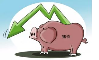 烟台今日生猪价格为何较昨日大幅上涨？